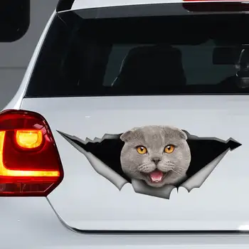 Стикер за автомобил сива шотландски вислоухой стикер за автомобил с котка, магнит за скоттиш-фолда